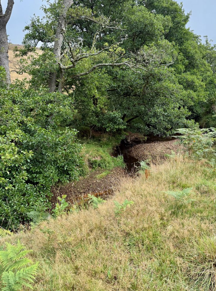 Esk Valley Circuit