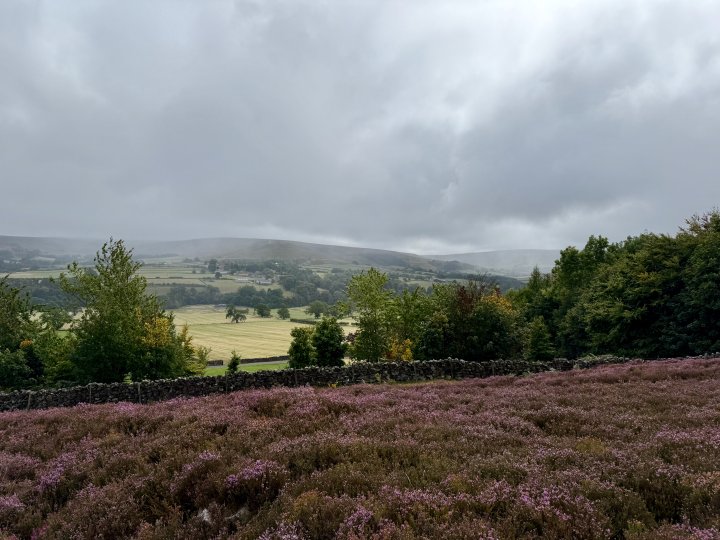 Esk Valley Circuit