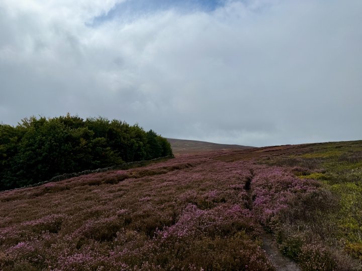 Esk Valley Circuit