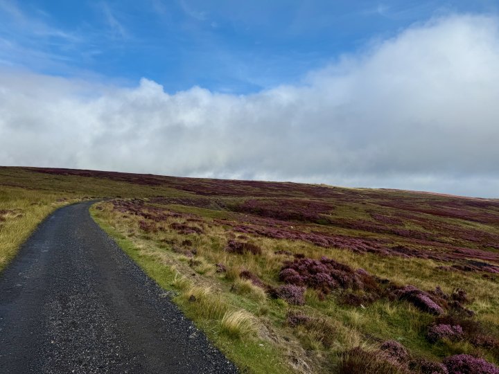 Esk Valley Circuit