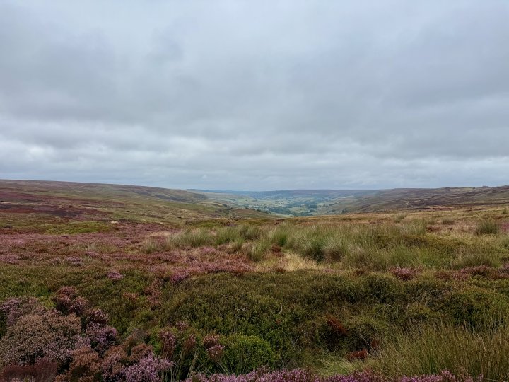 Esk Valley Circuit