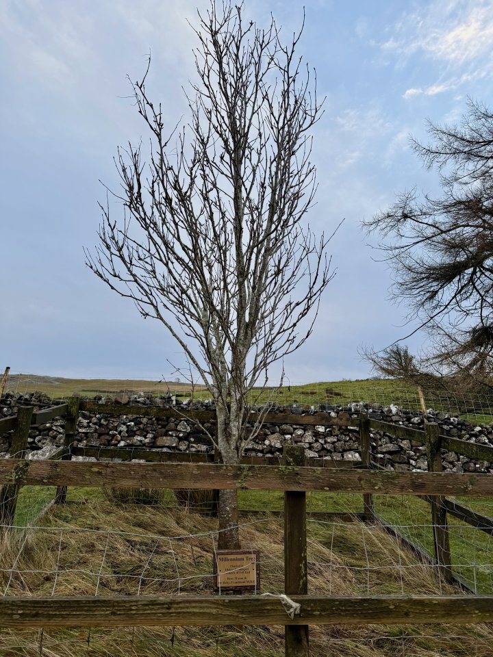Eden Valley Circular