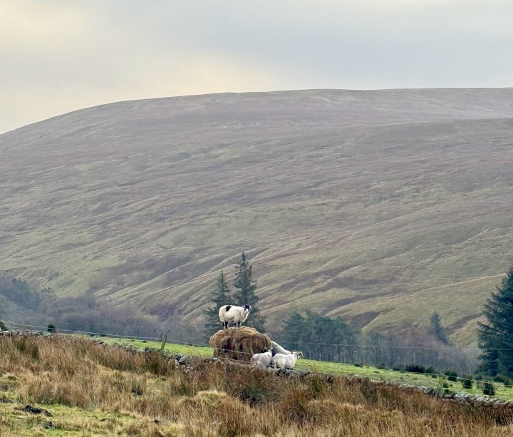 Eden Valley Circular